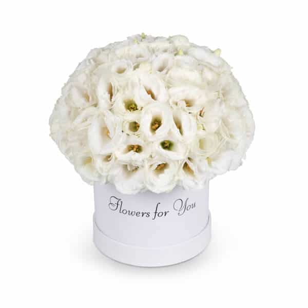 קופסת פרחים לבנה