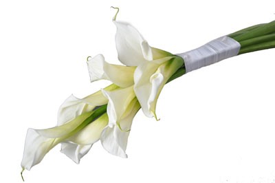 זר כלה מפרחי קלה לבנה